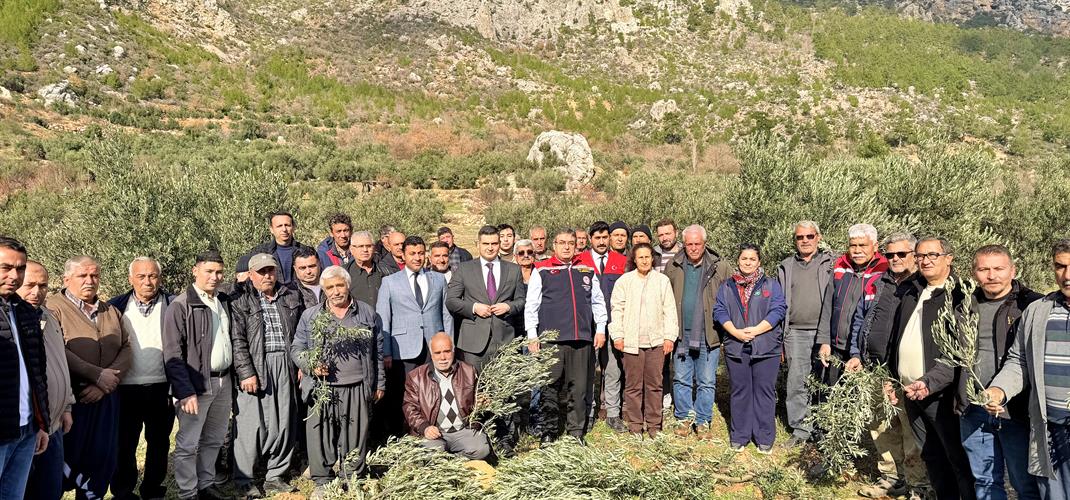 📢 Gülnar'da Üreticilerimize Uzman Eli Değiyor: 174 Üreticimiz Sertifikalarını Aldı!