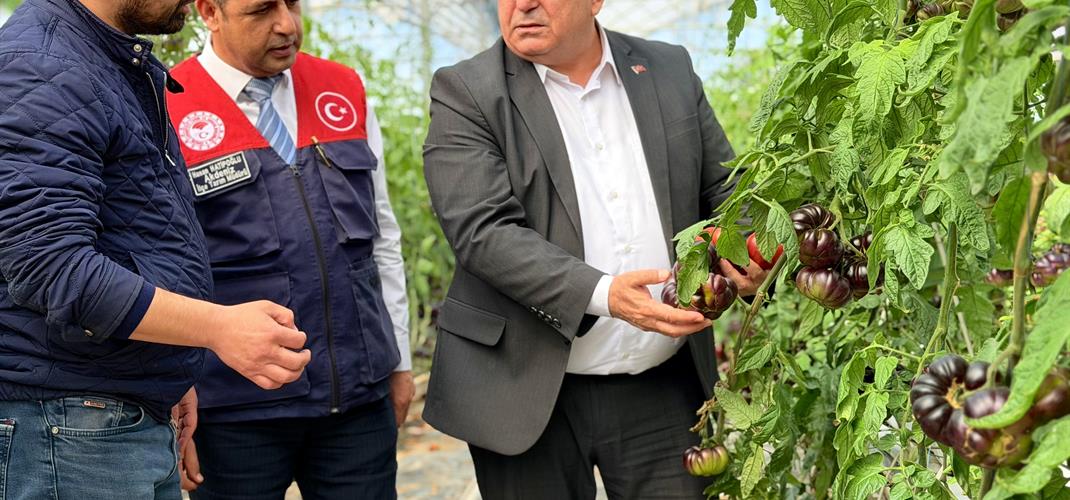 🌱 Akdeniz’de Modern Tarıma Yerinde İnceleme