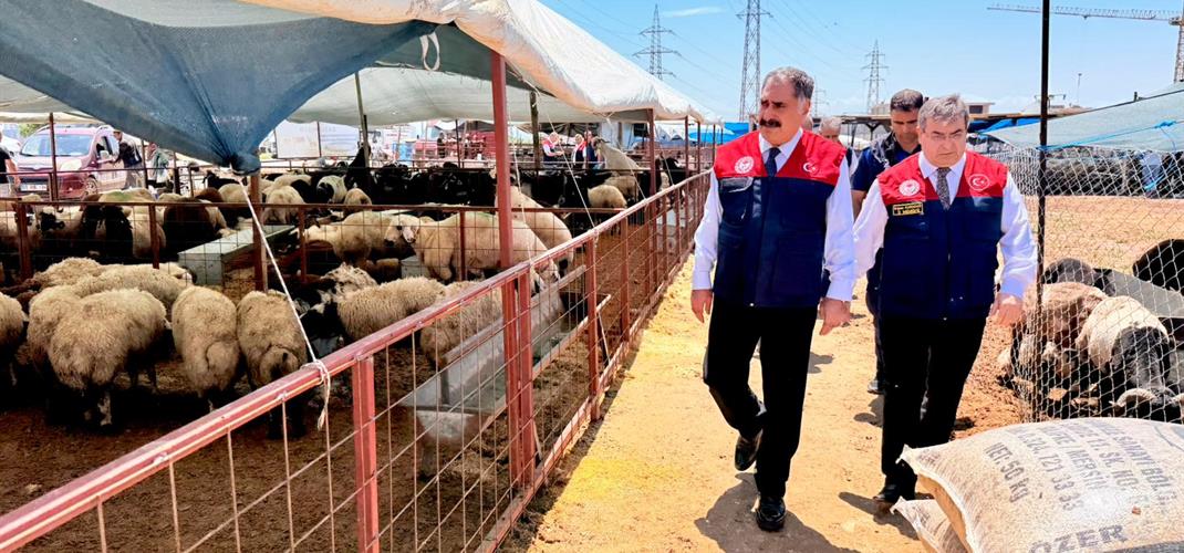 ​KURBAN BAYRAMI ÖNCESİ SIKI DENETİM! 🔎🐑
